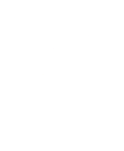 Company logo: white stylistic pineapple outline over transparent background with company name arched on top of the head.