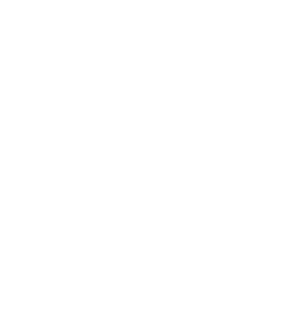 Company logo: white stylistic pineapple outline over transparent background with company name arched on top of the head.